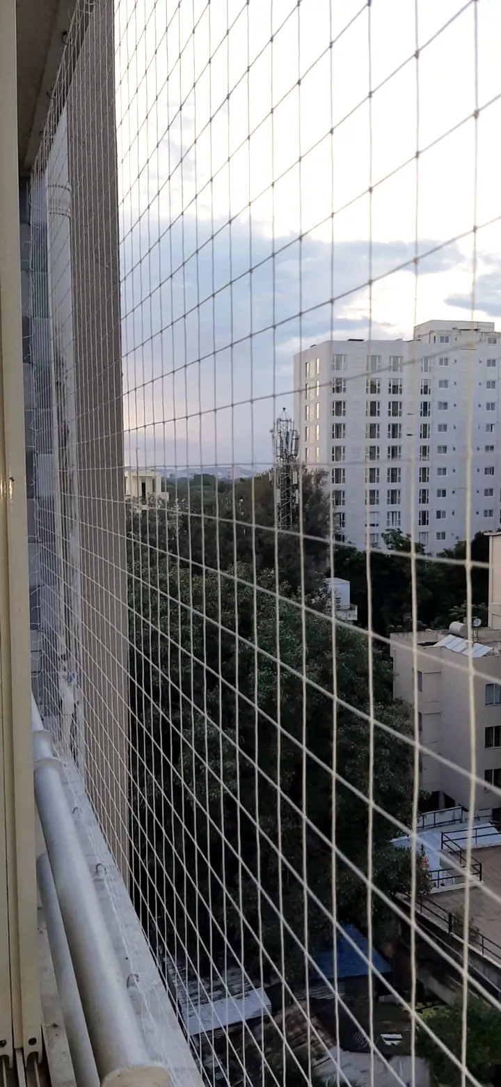 Mid-rise, full span — Pigeon net by Allind Safety